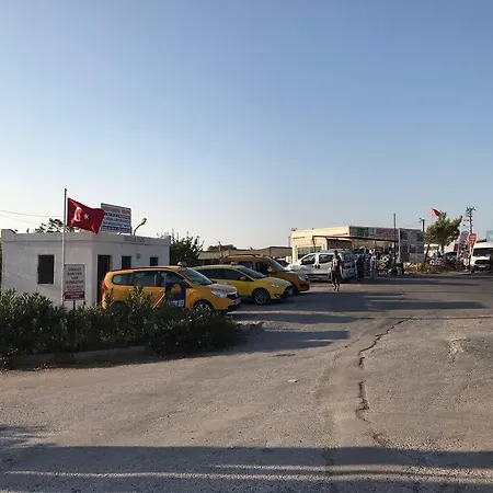 Amber 29 *