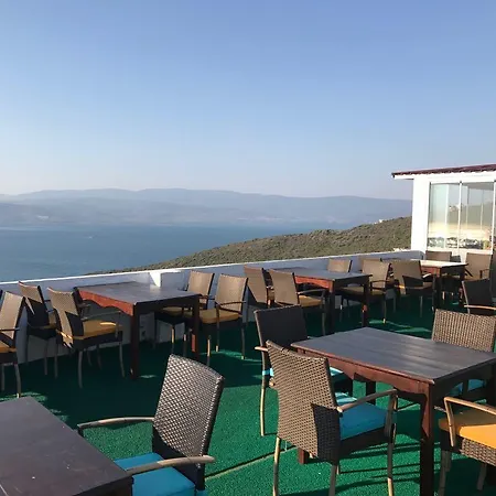 Amber 29 Bogazici